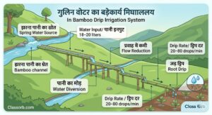 Water Resources Class 10 Notes PDF: NCERT Solutions, Questions & Answers