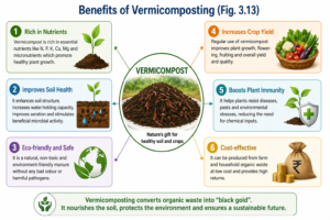 Benefits of Vermicomposting (Fig. 3.13)